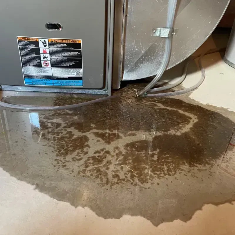 Appliance Leak Cleanup in Roebuck, SC